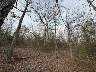 Unrestricted Land in Searcy County Arkansas with Highway Frontage - image 21