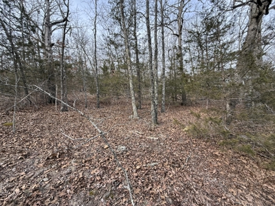 Unrestricted Land in Searcy County Arkansas with Highway Frontage - image 15