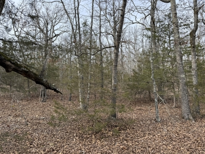 Unrestricted Land in Searcy County Arkansas with Highway Frontage - image 14
