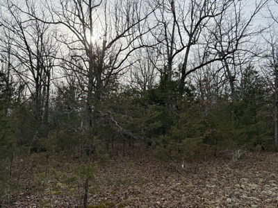 Unrestricted Land in Searcy County Arkansas with Highway Frontage - image 5