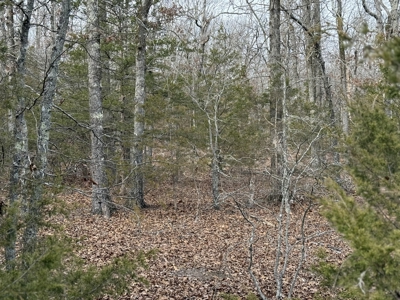 Unrestricted Land in Searcy County Arkansas with Highway Frontage - image 11