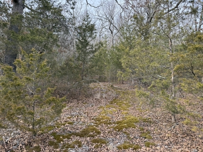 Unrestricted Land in Searcy County Arkansas with Highway Frontage - image 7