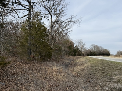 Unrestricted Land in Searcy County Arkansas with Highway Frontage - image 3