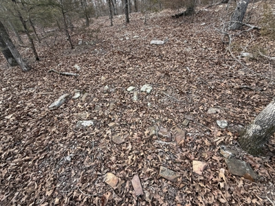 Unrestricted Land in Searcy County Arkansas with Highway Frontage - image 22