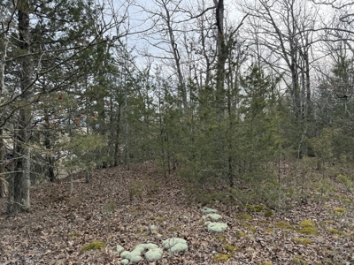 Unrestricted Land in Searcy County Arkansas with Highway Frontage - image 6