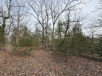 Unrestricted Land in Searcy County Arkansas with Highway Frontage - image 24