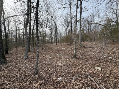 Unrestricted Land in Searcy County Arkansas with Highway Frontage - image 18