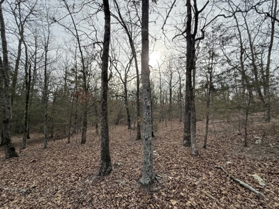 Unrestricted Land in Searcy County Arkansas with Highway Frontage - image 19