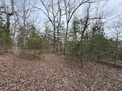 Unrestricted Land in Searcy County Arkansas with Highway Frontage - image 23