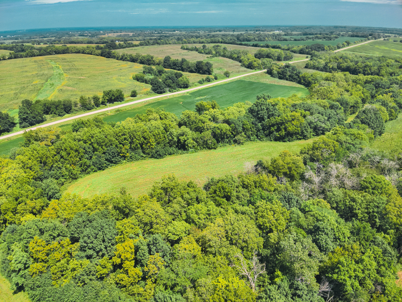 No Caption