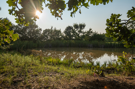 Catcher Ranch: 785 ± Acre Conservation Ranch & Trophy Whitetails - image 20
