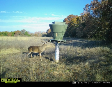 Catcher Ranch: 785 ± Acre Conservation Ranch & Trophy Whitetails - image 33