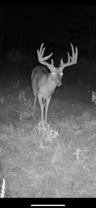 Catcher Ranch: 785 ± Acre Conservation Ranch & Trophy Whitetails - image 28
