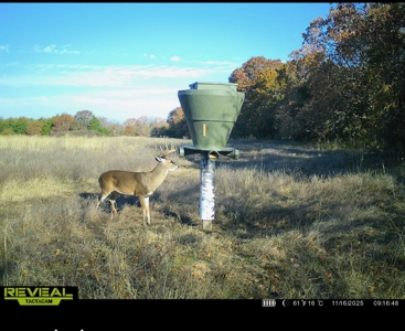 Catcher Ranch: 785 ± Acre Conservation Ranch & Trophy Whitetails - image 34