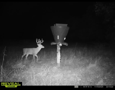 Catcher Ranch: 785 ± Acre Conservation Ranch & Trophy Whitetails - image 38