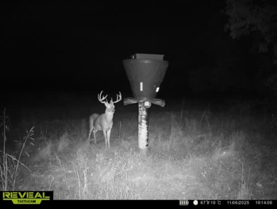 Catcher Ranch: 785 ± Acre Conservation Ranch & Trophy Whitetails - image 31