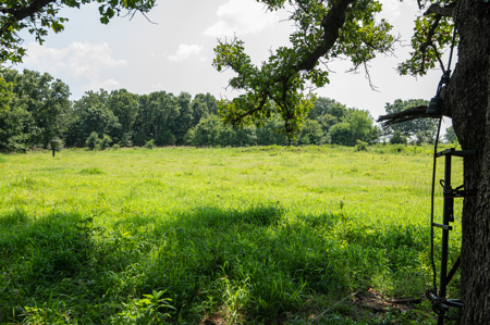 Catcher Ranch: 785 ± Acre Conservation Ranch & Trophy Whitetails - image 15