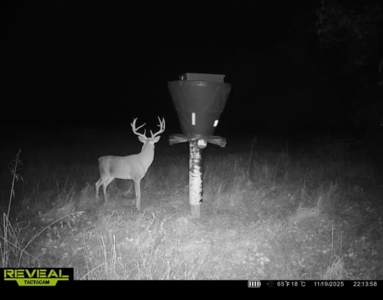 Catcher Ranch: 785 ± Acre Conservation Ranch & Trophy Whitetails - image 39