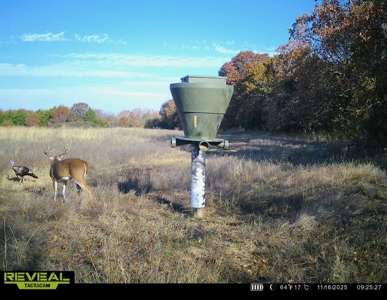 Catcher Ranch: 785 ± Acre Conservation Ranch & Trophy Whitetails - image 35