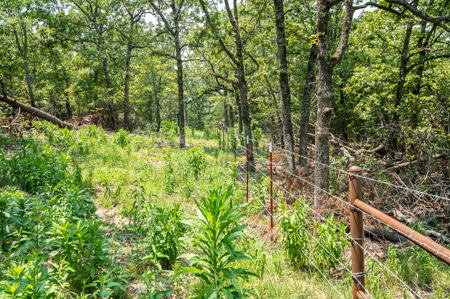 Catcher Ranch: 785 ± Acre Conservation Ranch & Trophy Whitetails - image 13