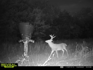 Catcher Ranch: 785 ± Acre Conservation Ranch & Trophy Whitetails - image 30