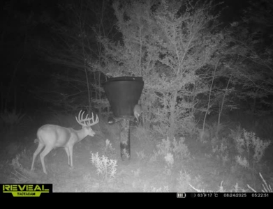 Catcher Ranch: 785 ± Acre Conservation Ranch & Trophy Whitetails - image 27