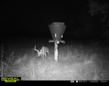 Catcher Ranch: 785 ± Acre Conservation Ranch & Trophy Whitetails - image 32