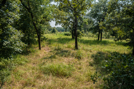 Catcher Ranch: 785 ± Acre Conservation Ranch & Trophy Whitetails - image 4