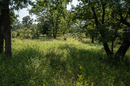 Catcher Ranch: 785 ± Acre Conservation Ranch & Trophy Whitetails - image 5