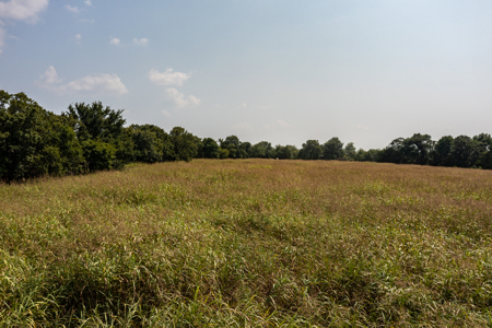 Catcher Ranch: 785 ± Acre Conservation Ranch & Trophy Whitetails - image 6