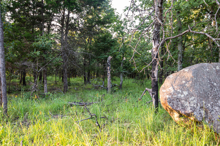 Catcher Ranch: 785 ± Acre Conservation Ranch & Trophy Whitetails - image 21
