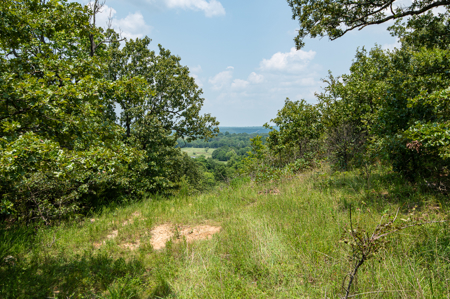 Catcher Ranch: 785 ± Acre Conservation Ranch & Trophy Whitetails - image 14