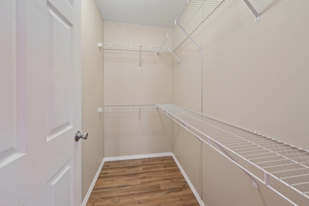 Gainesville, FL - Spacious 3/2 Bath on One Acre 1830 Sq Ft - image 19
