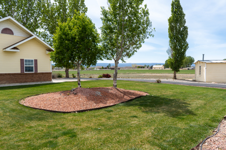 Montrose Colorado Country Home on Acreage For Sale - image 33