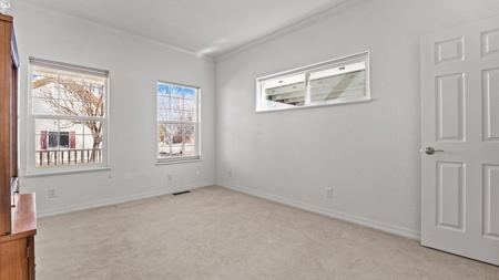 Montrose Colorado Country Home on Acreage For Sale - image 14