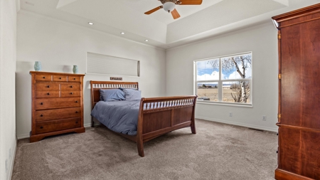 Montrose Colorado Country Home on Acreage For Sale - image 19