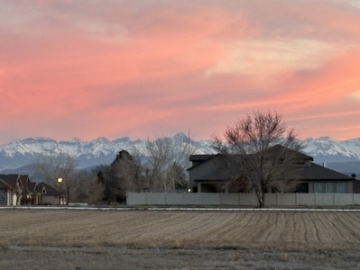 Montrose Colorado Country Home on Acreage For Sale - image 5