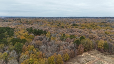 3,000 Acre East Texas Ranch 3700 sq ft Modern Residence - image 17