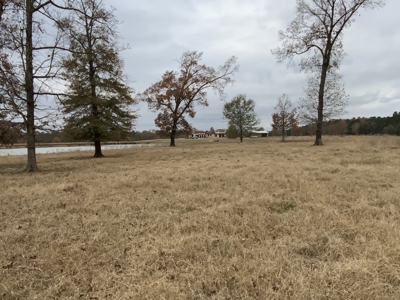 3,000 Acre East Texas Ranch 3700 sq ft Modern Residence - image 15