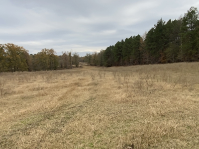 3,000 Acre East Texas Ranch 3700 sq ft Modern Residence - image 6