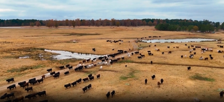 3,000 Acre East Texas Ranch 3700 sq ft Modern Residence - image 14