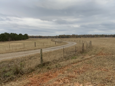 3,000 Acre East Texas Ranch 3700 sq ft Modern Residence - image 16