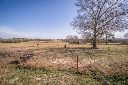 TexAz Ranch: 814-Acre Regenerative Legacy & Multi-Home Compound - image 28
