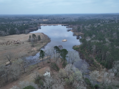 TexAz Ranch: 814-Acre Regenerative Legacy & Multi-Home Compound - image 30