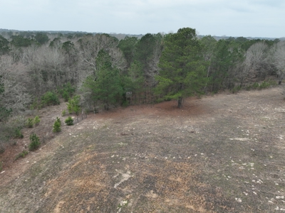 TexAz Ranch: 814-Acre Regenerative Legacy & Multi-Home Compound - image 33