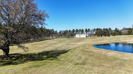 Private Osyka MS Homesite with Pond & Shop - image 11