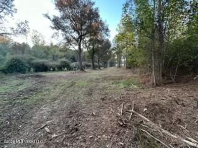 Private Osyka MS Homesite with Pond & Shop - image 39
