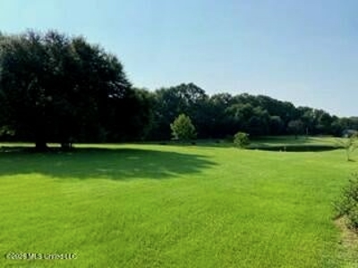 Private Osyka MS Homesite with Pond & Shop - image 4