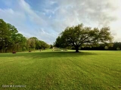 Private Osyka MS Homesite with Pond & Shop - image 2