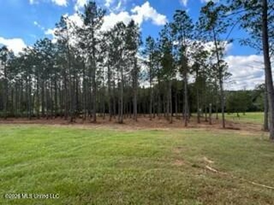 Private Osyka MS Homesite with Pond & Shop - image 35
